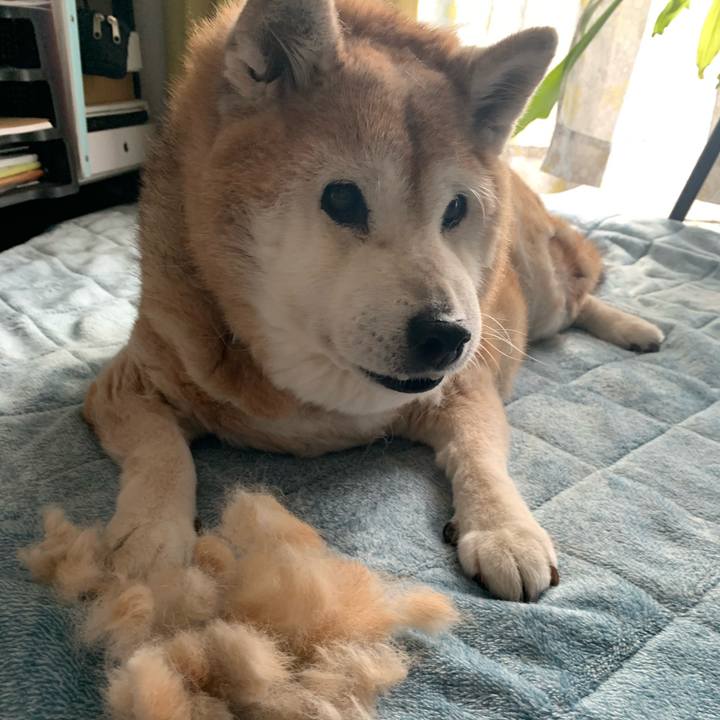 8bd5932f d43f 4f6e a601 e82520bb0642 1671336452339