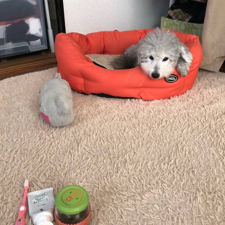 8bd59783 316d 4187 ad31 ff0732929a78 1575436090463