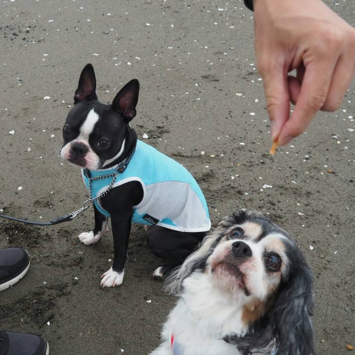 8bd5c2d0 91ee 451a ba22 88da45f5f077 1526187776084