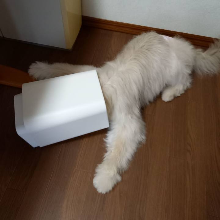 8bd601fd 8c84 4011 9631 59bbcb087980 1629067083238