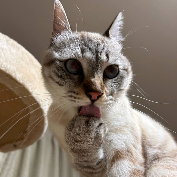 8bd61c6c c477 4fa7 99d6 7a6ba047f4a8 1766239689694