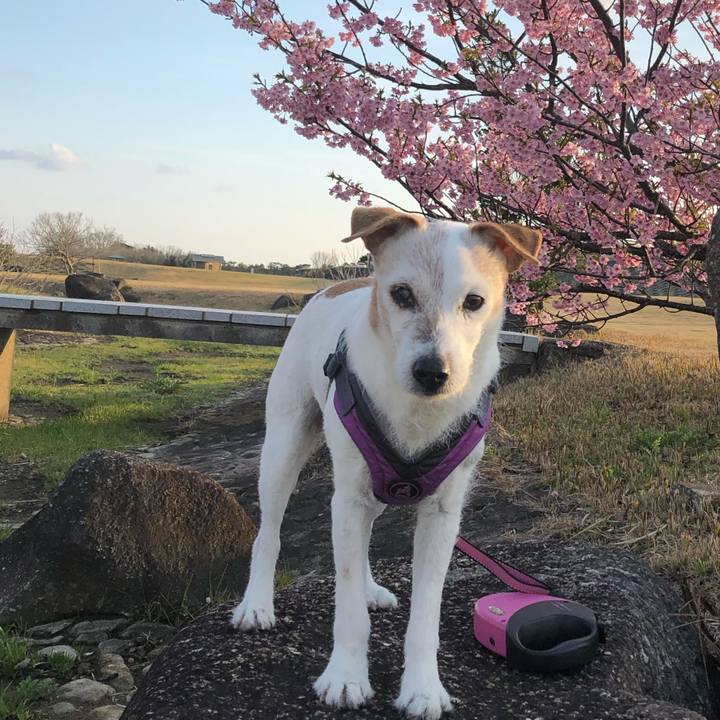 8bd62578 b109 4f3e 8012 7cadcfacd9d7 1551777224683