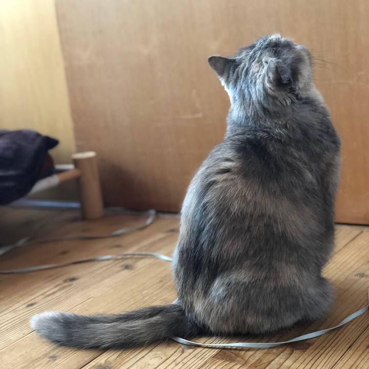 8bd65613 8b5b 478e 8592 d0109fa168e8 1667568945770