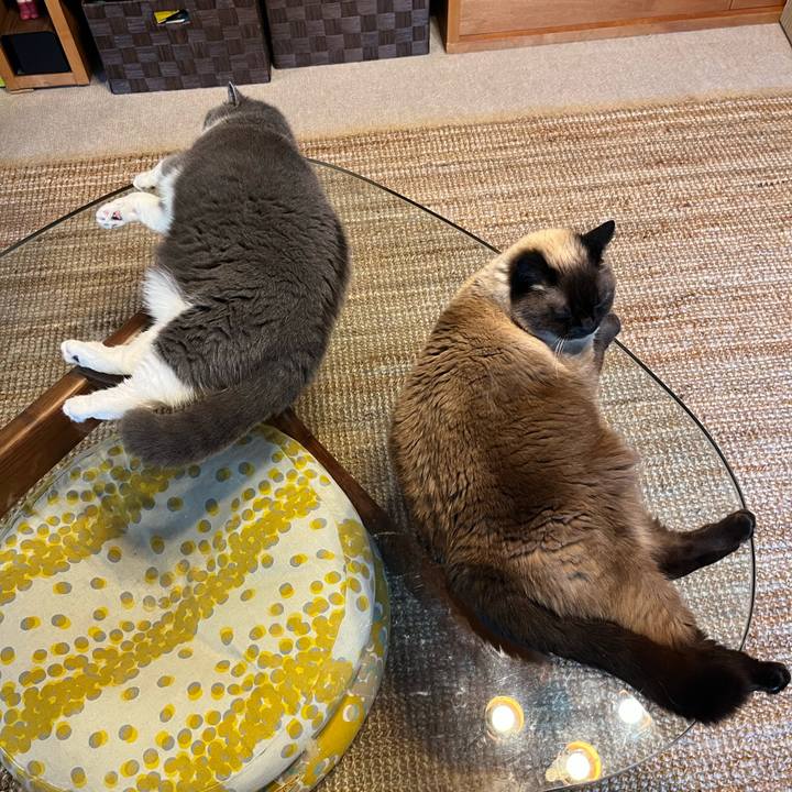 8bd66c27 db6a 4732 8873 e3b9a6505b6f 1750297548181