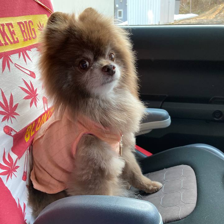 8bd686c8 aae4 4ba2 8480 5bd1223d2ea4 1681017654545