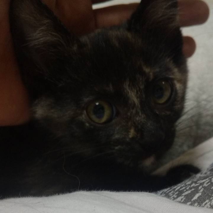 8bd69fcb f20c 4cae b93c b16f86fff1bc 1721040231575