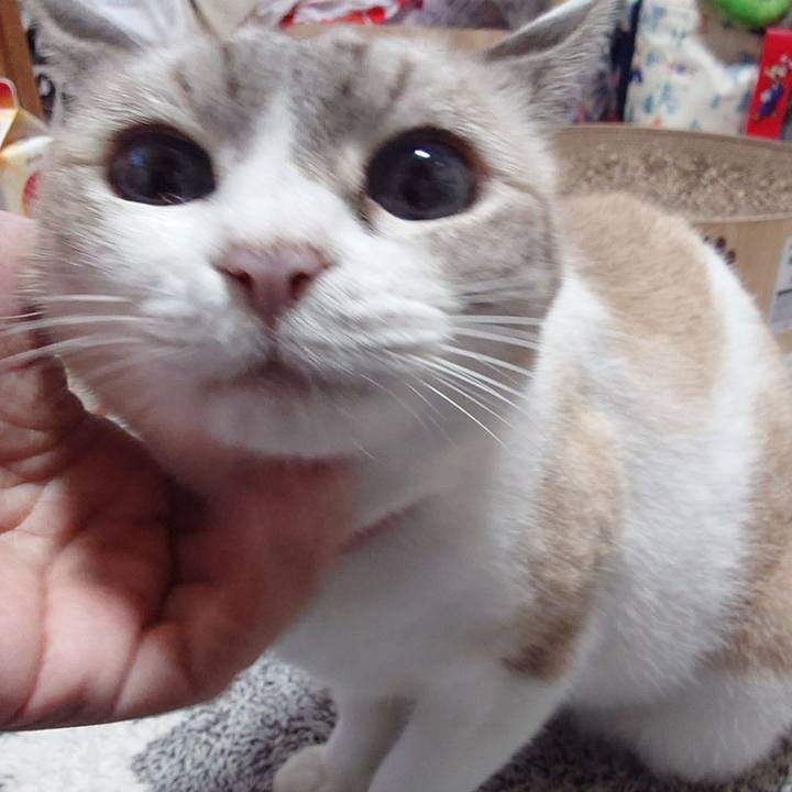 8bd6b7f5 d502 4f27 acdd e0c8b5d34e13 1729207593122