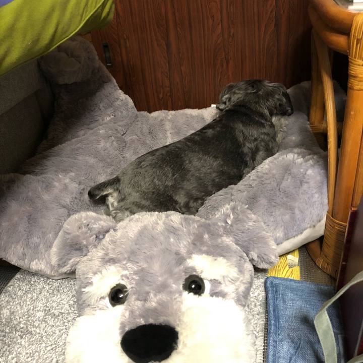 8bd6e0b9 bd30 44d2 8d47 8cca59f37e8b 1669211893286