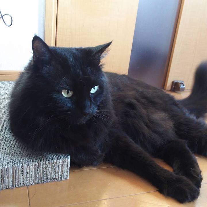 8bd6e758 1ea5 44bb 8999 c7c8007e9f56 1515300390160