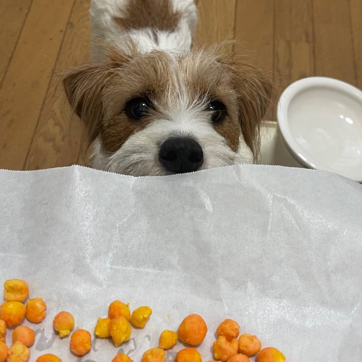 8bd70c11 28a0 464e ab8b 8fedb82f97f4 1770085699344