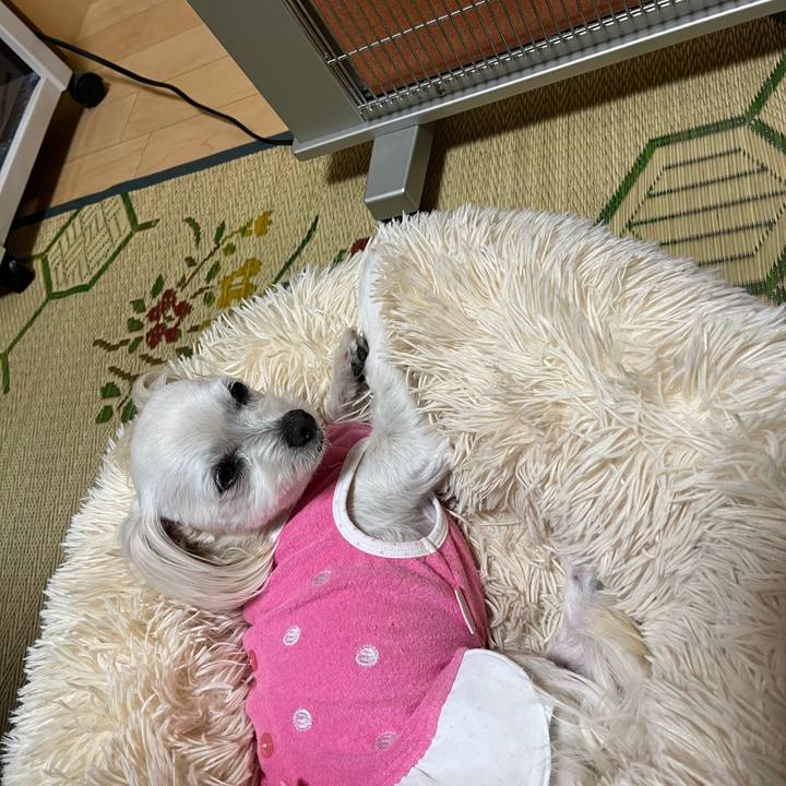 8bd741e5 1315 4155 a59e 73d23aebe227 1683634122984