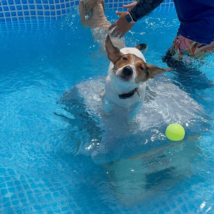 8bd7591a 255c 4e54 96f4 b3741b7e6f40 1691909798550