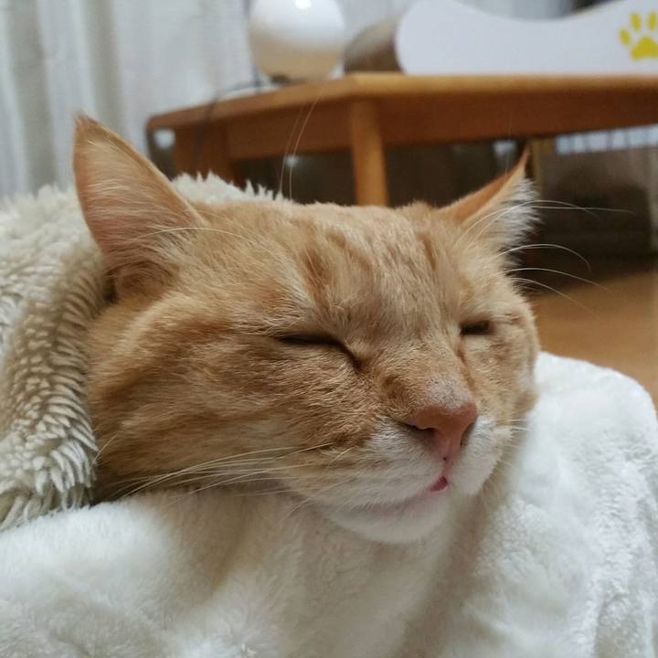 8bd7630c 722e 4633 9d06 0e12fc65a3af 1513894837131