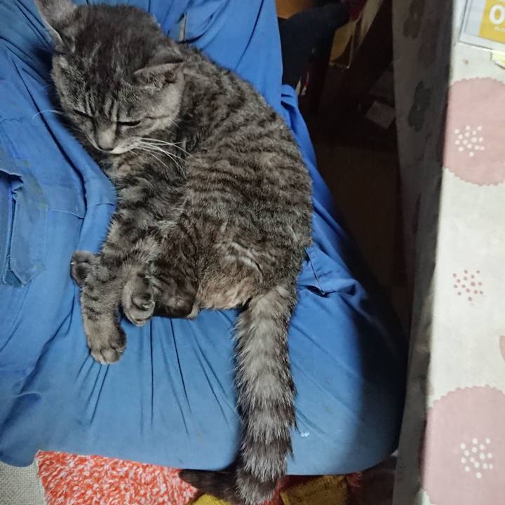 8bd7c6a5 485b 4b57 a149 209e00280fce 1571453687286