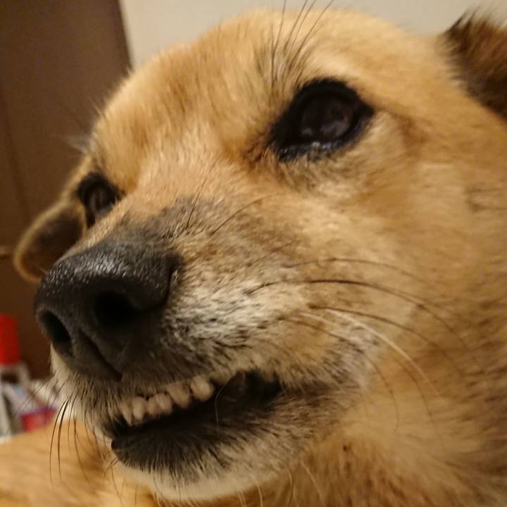 8bd80b90 bb68 4b23 83f0 633df47cba3f 1606478043452