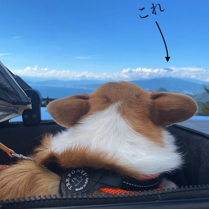 8bd8346d ed51 412d b1c8 177d1bcf70e5 1725872815721