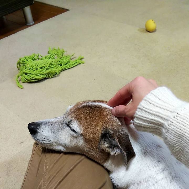 8bd845d6 74c7 4dea a3f0 43ef9dafdadd 1546770631291