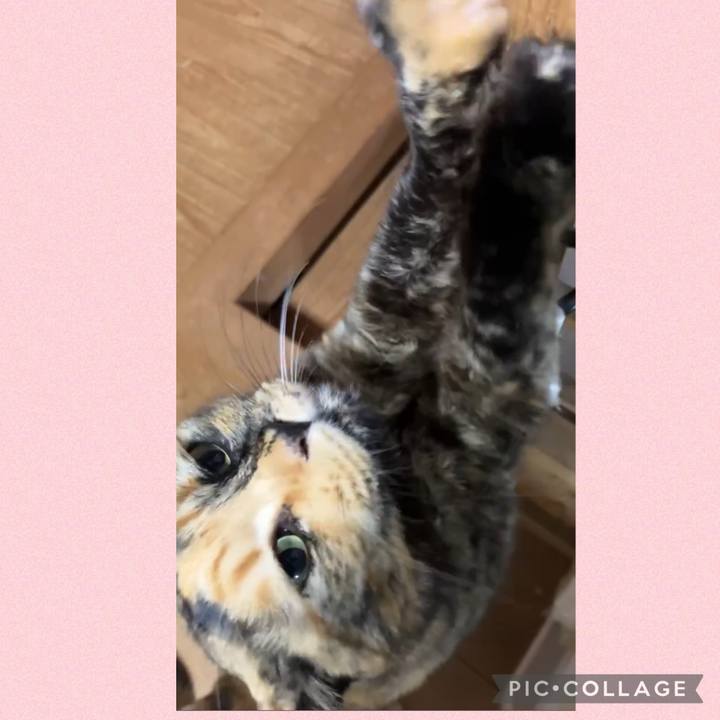 8bd857fa 6831 4e8c 8b74 c7540cbc4559 1740276281542