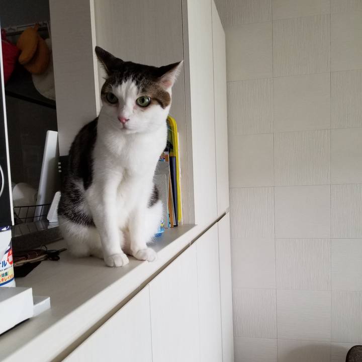 8bd8c4f0 cfe2 4043 918b 3f4573e1b868 1617412491933