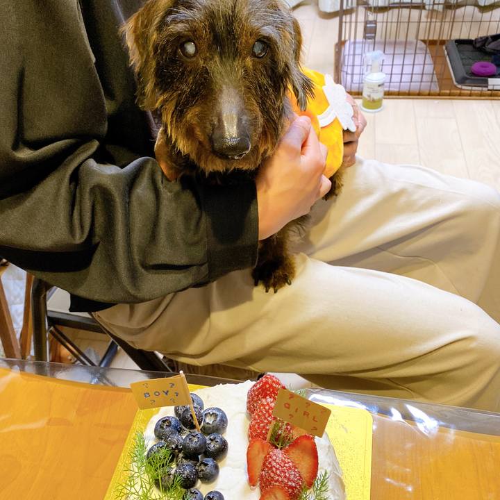 8bd8d042 60fc 4e5d 8708 3fc2be4284e1 1642263577988