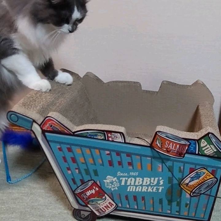 8bd8dace 2185 4864 9bff b91d0d71563e 1642668763787