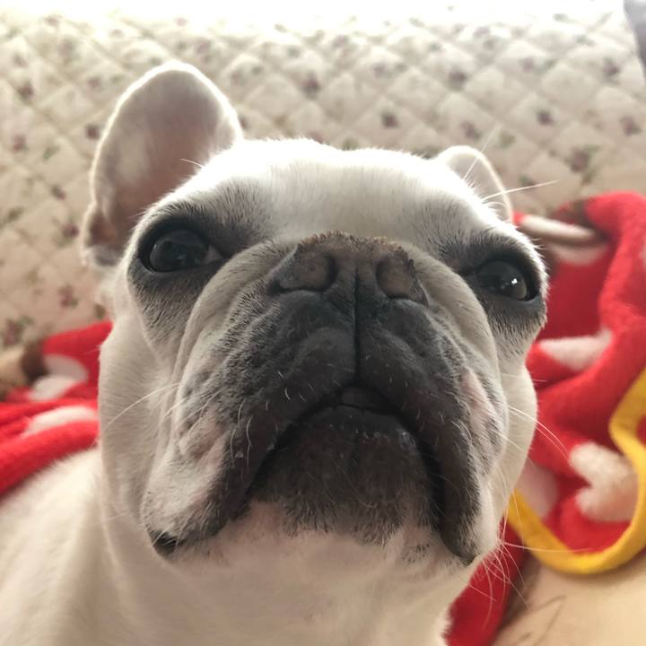 8bd91569 7ff6 4d8c 9c8c e153c3d7ea0e 1620557165413