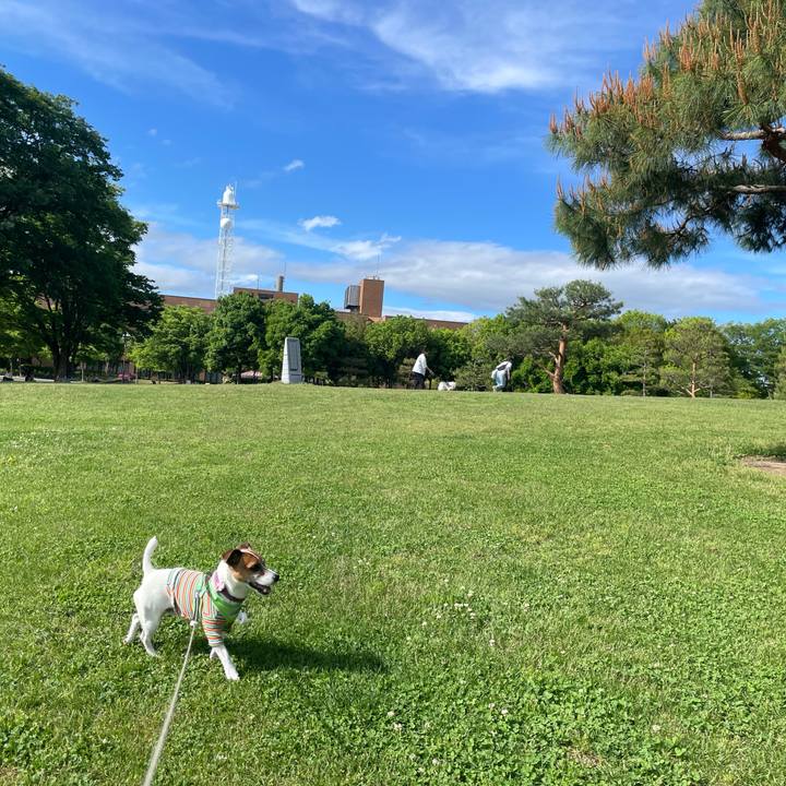 8bd93f38 3d05 4650 8364 efebf1e7a953 1747466754082