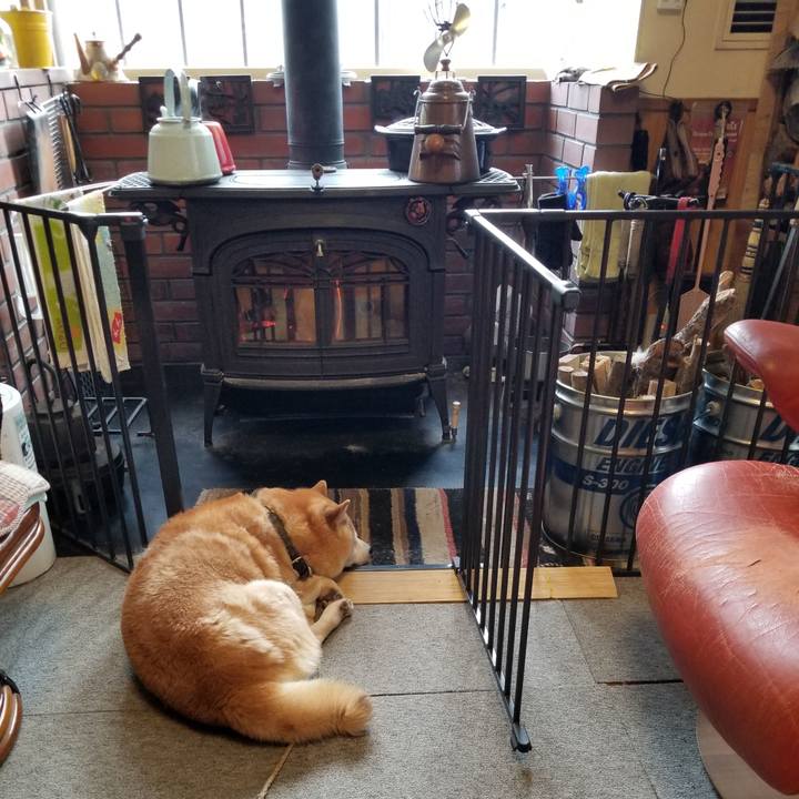 8bd9594b 99c5 4014 8fdb f889601299ef 1641427010079