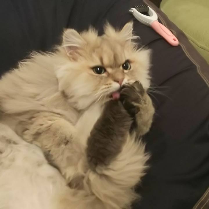 8bd95df7 c081 4074 854f 4f003215fe71 1580685786065