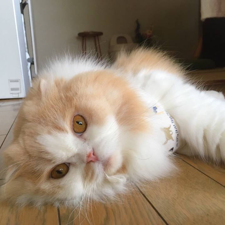 8bd9a64b d968 4ba7 8333 4a68fa8a503f 1566312470669