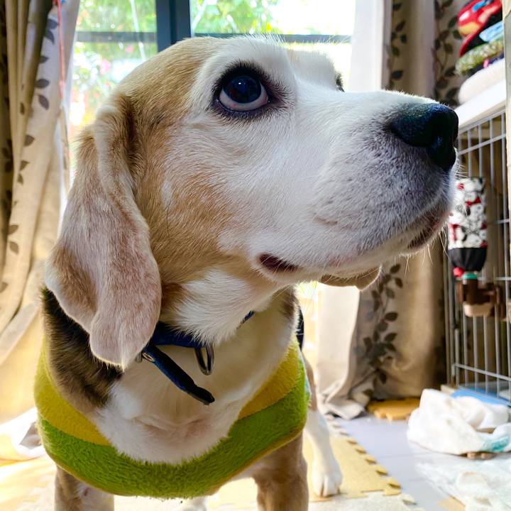 8bd9c5d6 5997 45d3 ac2d 9e28f49445cd 1587635632744