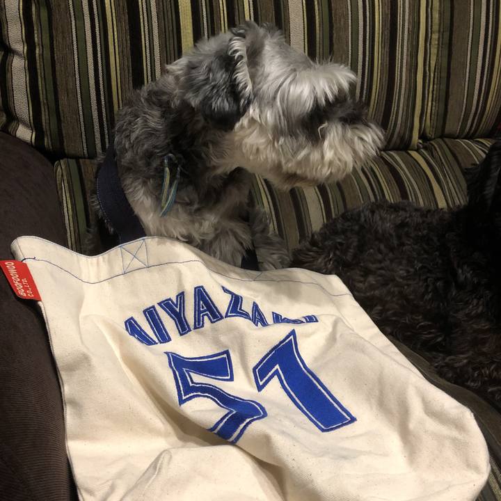 8bd9caf7 f6b9 401c a8d3 a6009612b4b3 1568285831077