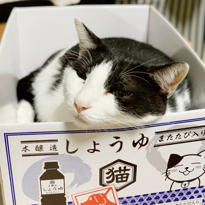 8bd9f7c5 1d09 4872 b78b 01cad0d33a92 1541467478860