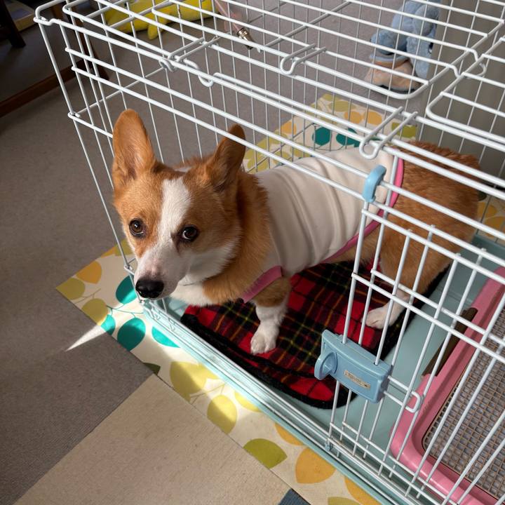 8bd9fb7b a87e 4e0b a5f3 cbc17223b0b3 1772856299420