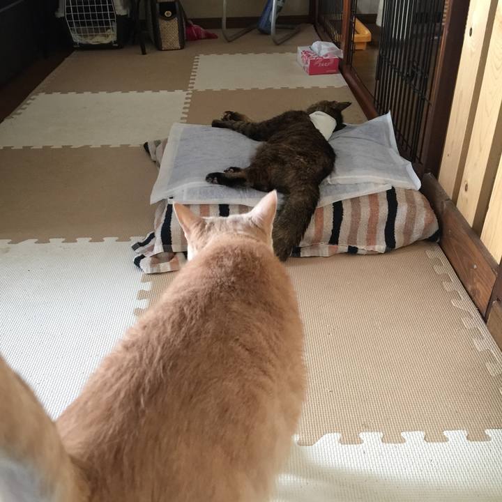 8bd9fb8e 82f9 43ff b1e2 5605c14b43a2 1663728967344