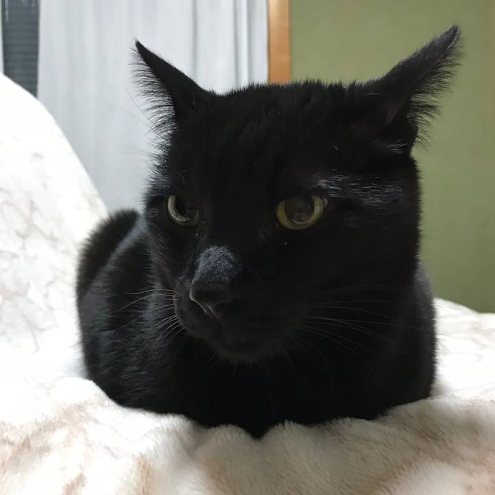 8bda0882 8025 4409 9cfd a66caee33fc9 1517360627253