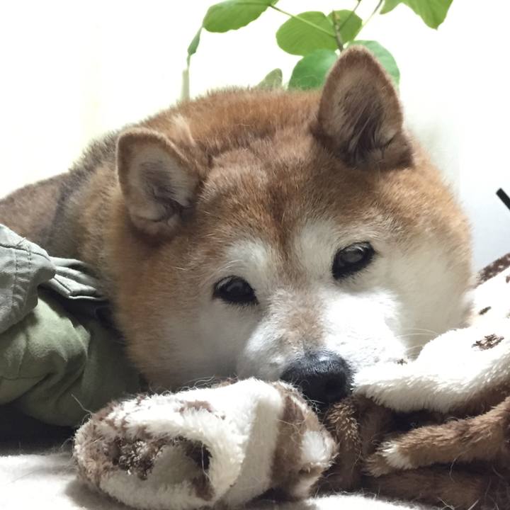 8bda0f12 f291 4879 9334 039beda22966 1556274148906