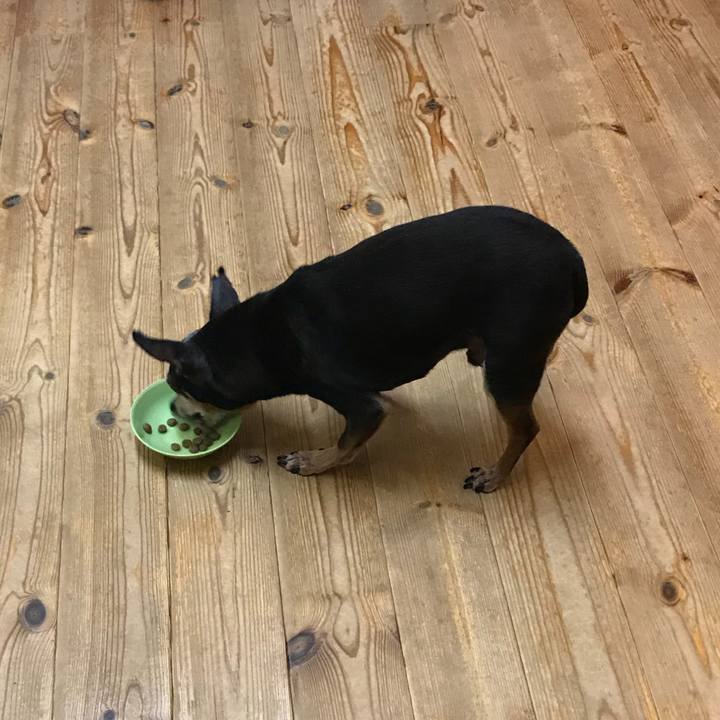 8bda0ffd ef62 4360 83a0 f98652cda07a 1565679454269