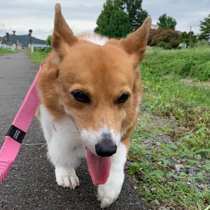 8bda2e6c b802 468c b1c0 4d75ea7dedb0 1725322793117