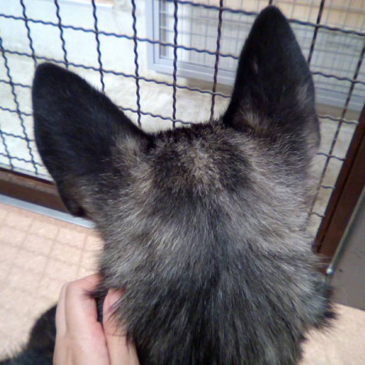 8bda4d5e da3f 4f33 8dcf f96b35777186 1527950292068