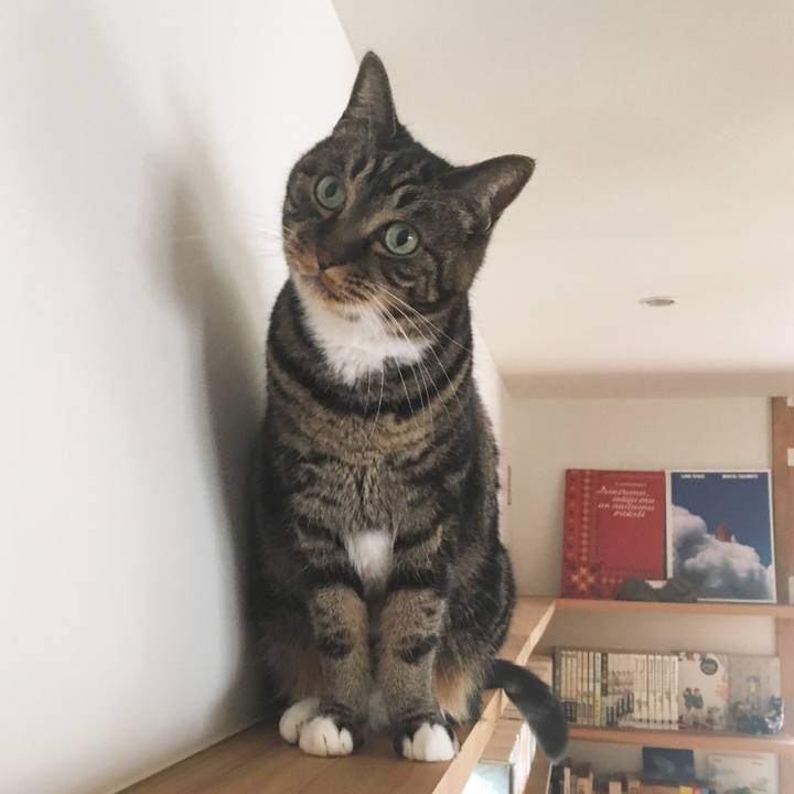 8bda9104 fe20 4de7 9c2f f02d1685dcc6 1543102444329