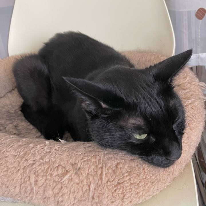 8bdaa729 a52d 4460 9514 8e02e5204a26 1660219247858