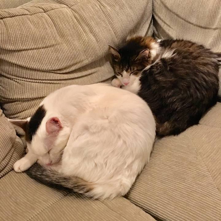 8bdb0fe5 1ca3 424a 9794 41f20bf4df5e 1515206452860