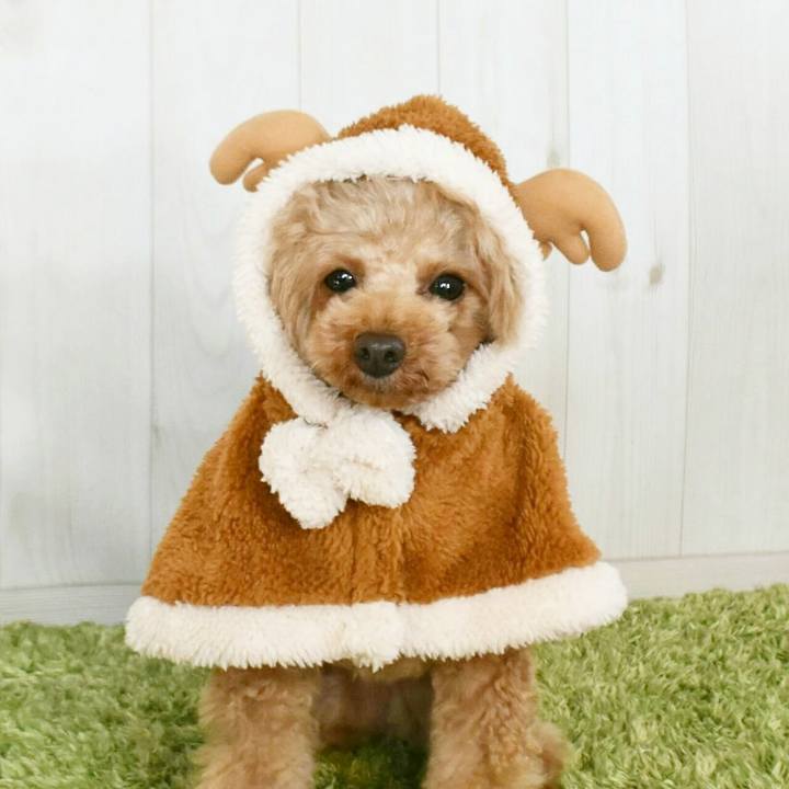 8bdb19f8 a64c 4c34 a553 7258f857812c 1512395366894