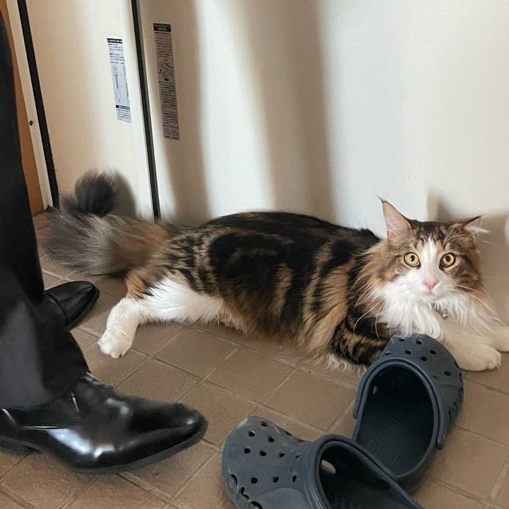 8bdb2807 65e2 4a79 8b93 d88937763b5e 1650405112083