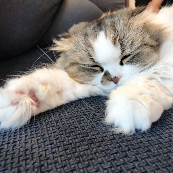 8bdb2ae6 5f63 49f4 a73d c47619f675ab 1773996544153