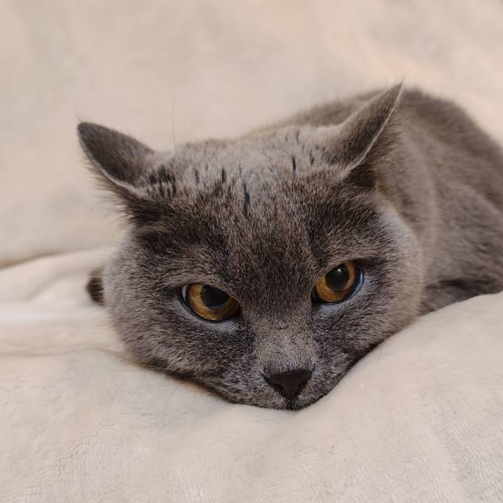 8bdb7081 26f5 4fcd 9a19 36eda8566089 1772832199231