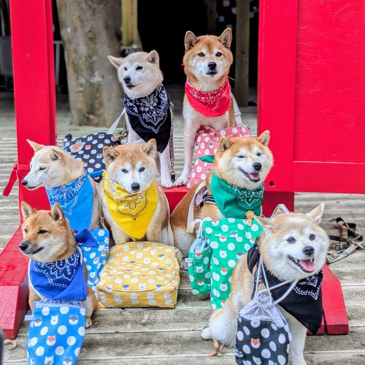 8bdbd15f 4a74 4462 93f0 17d983ac4970 1760945556126