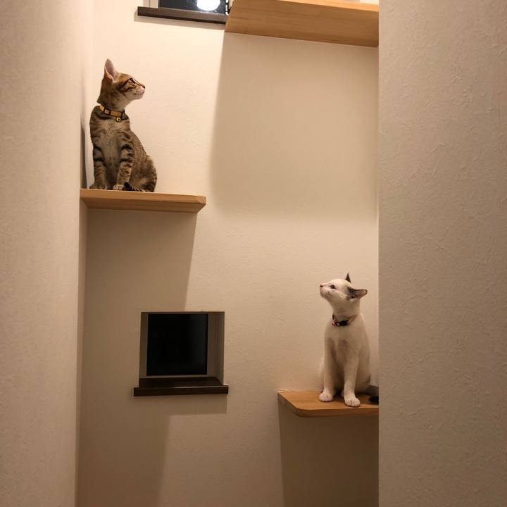 8bdbd4e5 73e9 4a04 9c75 8abb36982048 1542903836122