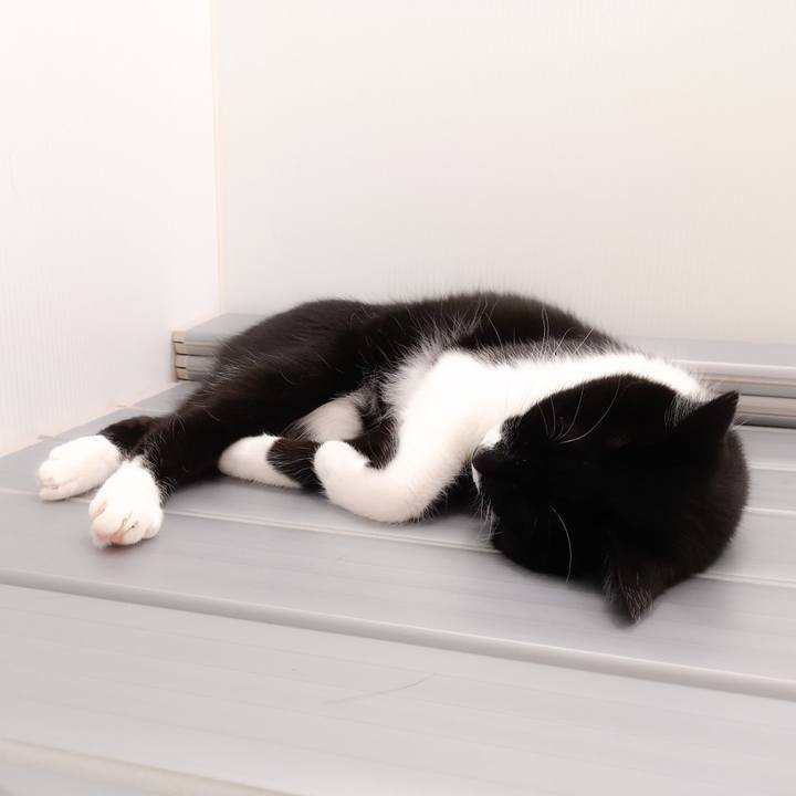 8bdbe51a f3fc 4b66 a8ed de97b493ffab 1558022993365